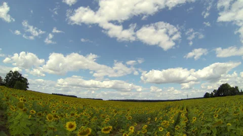 4K(!!!) Field clouds time lapse. Stock Footage 27756919