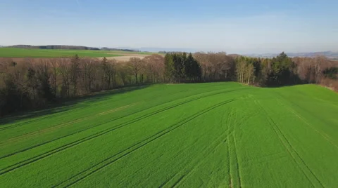 4K Fields and forest aerial shot Stock Footage 63140661