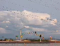 4K Film - monsoon storm front wakes up at dusk timelapse - 3 4k or 4k+ Resolution