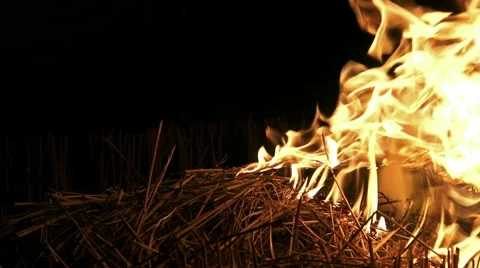 4K Fire burning forrest grass close up. UHD stock video Stock Footage 47295505