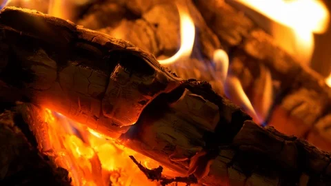 4K - Fire inside the bonfire Stock Footage 125531309