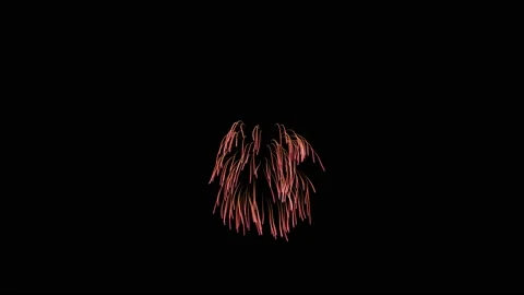4k Fireworks Willow Background animation. Video stock 218276954