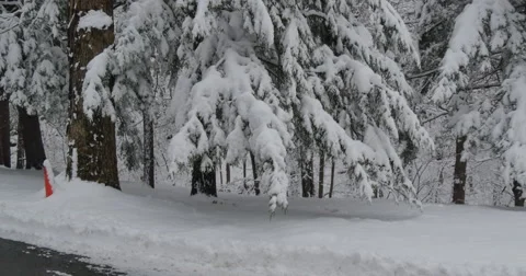 4K, First snow on the upstate road Stockbeeldmateriaal 47043746
