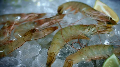 4k Fish and Seafood on Ice, Dolly of Shrimps Stock Footage 80857734
