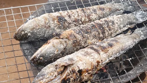 4k of fish grill with salt on net metal, fish grill with salt for sale in the ma Stock Footage 71335418