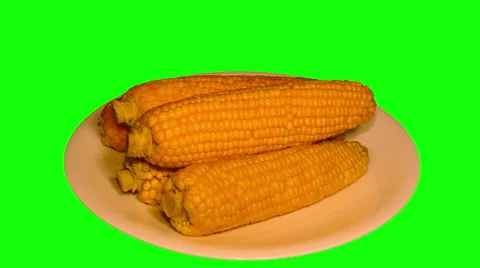 4k – Five fresh boiled corncobs on plate Stock Footage 56865765