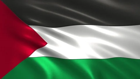4K flag of Palestine Stock Footage 96473669