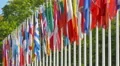 4K Flags of the member states of the Council of Europe 4k or 4k+ Resolution