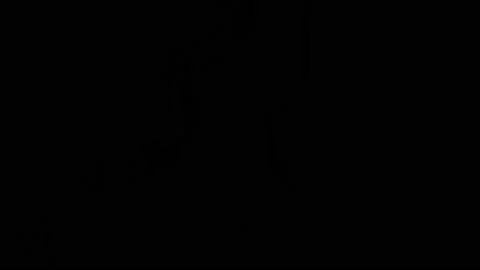 4k flash fx lighting elements set. 库存影片 144676573