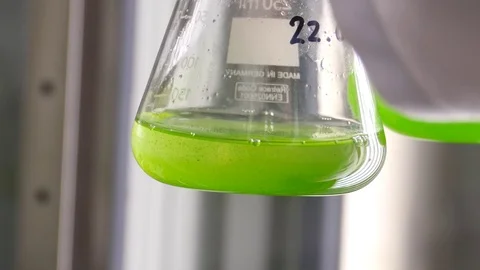 4K. Flask with a microalgae suspension Video stock 78110034