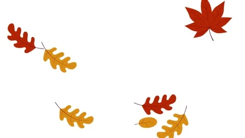 4K Flat Design Illustration Maple and Oak Leaves Autumn Background Stock Footage 339269791