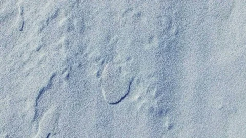 4K. Flight above snow fields in winter, aerial top view. White snow texture. Video stock 81523549