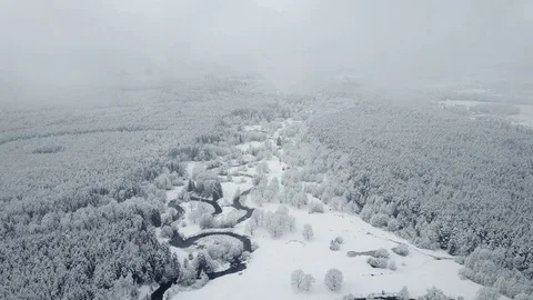 4K. Flight above wild winding river in frozen forest at foggy weather. Aerial. Video stock 83388016