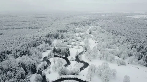 4K. Flight above wild winding river and frozen forest. Snowly winter, aerial. Video stock 83388680
