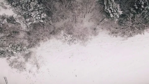 4K. Flight above winter forest on the north, aerial top view. Russia Stock Footage 70573667