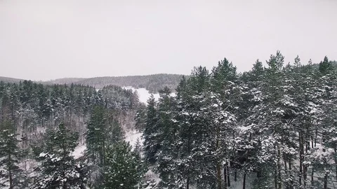 4K. Flight above winter forest on the north, aerial top view. Russia Video stock 70573917