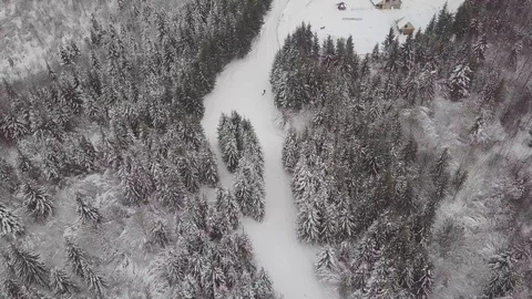 4K. Flight above winter forest on the north, aerial top view. 動画素材 101438831