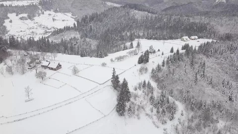 4K. Flight above winter forest on the north, aerial top view. 動画素材 101438840