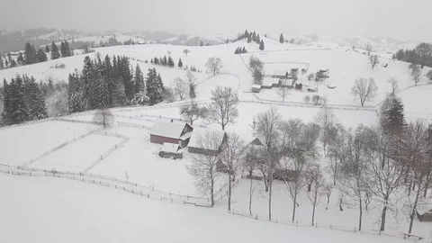 4K. Flight above winter forest on the north, aerial top view. 動画素材 101438857