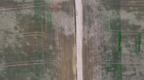 4K. Flight above young fields with dirt road, aerial top view. 動画素材 55573861