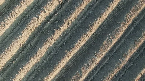 4K. Flight and takeoff above freshly cultivated fields at sunset, aerial view. Video stock 62714360