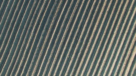 4K. Flight and takeoff above freshly cultivated fields, aerial view. Video stock 71896374