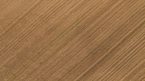 4K. Flight and takeoff above freshly cultivated fields in spring, aerial view. Vídeo Stock 73533062