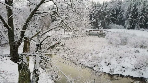 4K. Flight and takeoff above tree and wild winding river in frozen forest. Stock-Footage 97964962