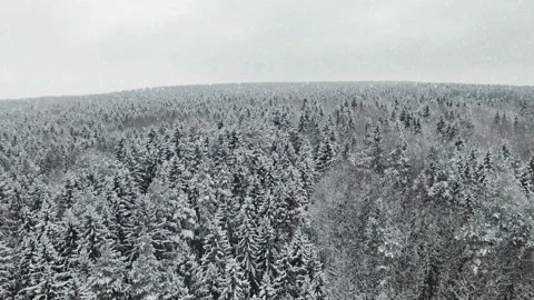 4K. Flight and takeoff above winter forest at snowfall on the north. Vídeo Stock 99374953