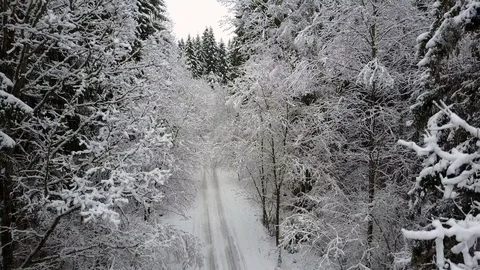 4K. Flight and takeoff over countryside road in frozen winter forest. Aerial. 動画素材 84248401