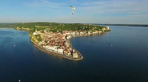 4K. Flight with birds over old city Piran, aerial panoramic view. Slovenia. Stock-Footage 65806299