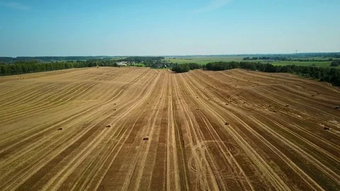 4K. Flight over cultivated fields with haystacks after harvesting. Aerial view Stock Footage 79595426