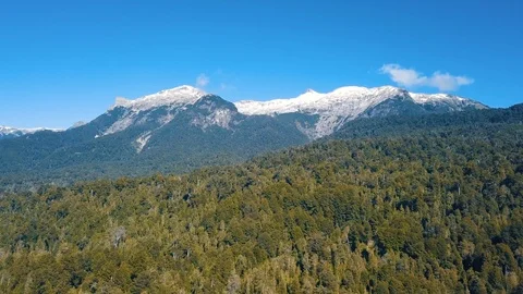 4K flight over forest against The Andes, crossing from Chile to Argentina Stock Footage 86083611