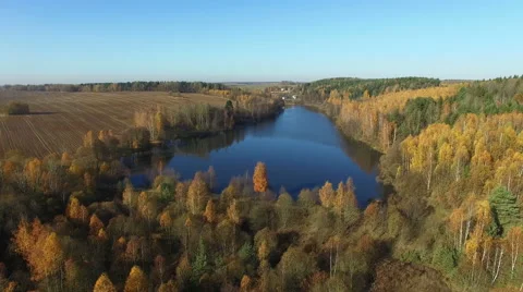 4K. Flight over lake and forest in golden autumn, aerial panoramic view. Video stock 59122103