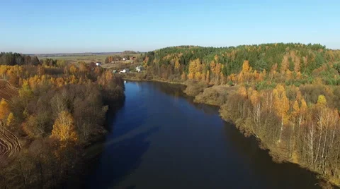 4K. Flight over lake and forest in golden autumn, aerial panoramic view. Video stock 59122378