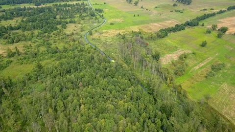 4k flight over meadow and river at summer. Polish landscape. Stock Footage 119449348