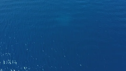 4K Flight over ocean, open sea. Video stock 114964645