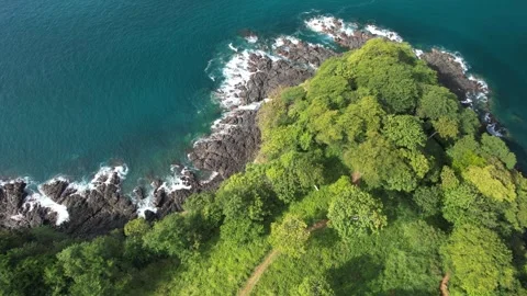 4K Flight Over Rough Rocky Cliff Side and Beautiful Forest in Pacific Ocean 库存影片 256828209