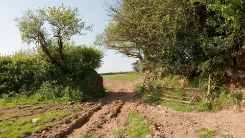 4K Flight Through Gateway in Rural Devon Video stock 112156619