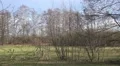 4k Flock of birds in nature reserve marshland spring season 4k or 4k+ Resolution