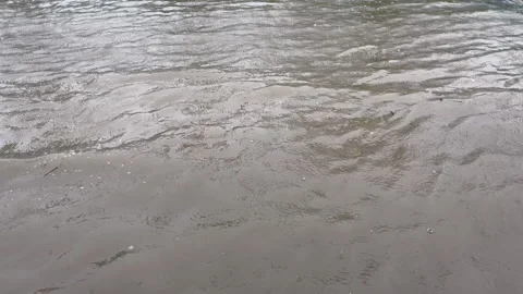 4K Flooded city at midday . Stock Footage 203925124