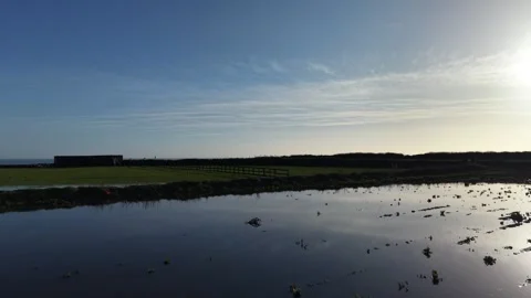 4K Flooded Farmland with Sun Reflection and Horizon 库存影片 333708012
