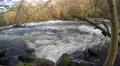 4K flooded stream in sunlight with surrounding forest, with audio 4k or 4k+ Resolution