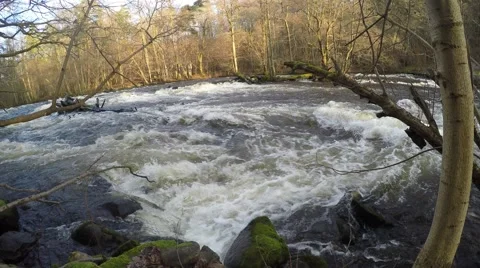 4K flooded stream in sunlight with surrounding forest, with audio Stock Footage 47274958