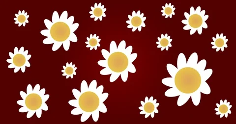 4K Floral Background (Chamomile) | Loopable Stock Footage 108454817