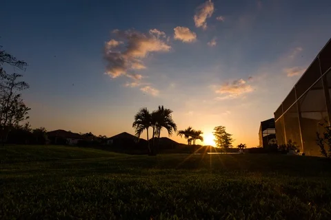 4K Florida Sunset with Palm Tree Time Lapse Vídeo Stock 87086677