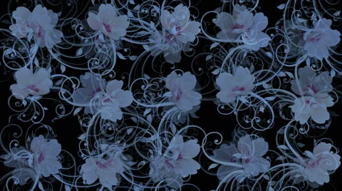 4k flower petals pattern background. Stock Footage 66821291