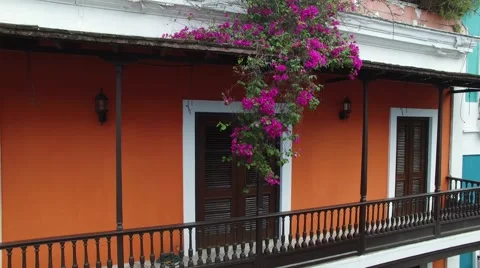 4K Flowers on Building  Stock Footage 63617953