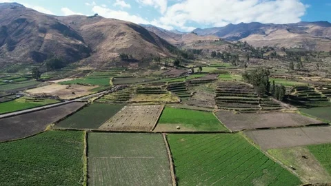 A 4K fly over of agricultural terraces and fields in Peru Stock Footage 166075813