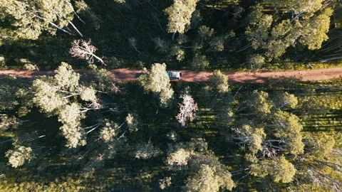 4K Fly Over bird eye view 4x4 SUV offroading colorado forrest Stock Footage 300055837